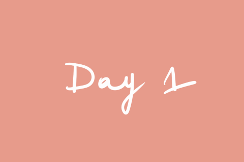 Day 1
