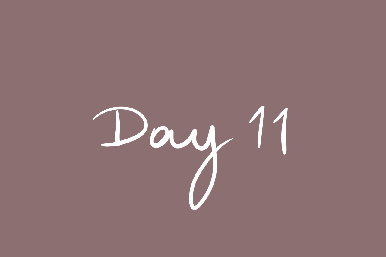Day 11