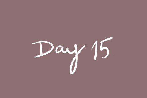 Day 15