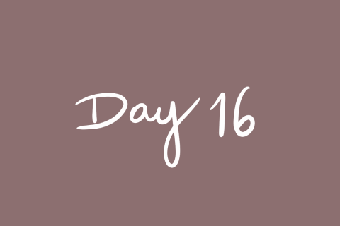Day 16