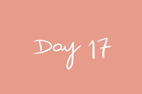 Day 17
