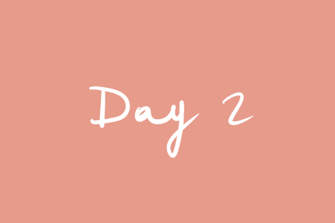 Day 2