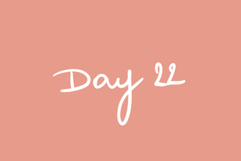 Day 22