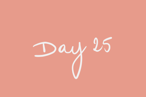 Day 25