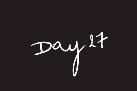 Day 27