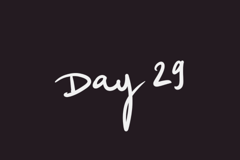 Day 29