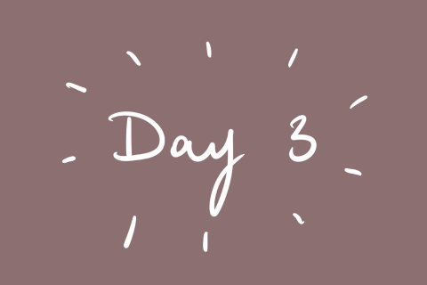 Day 3