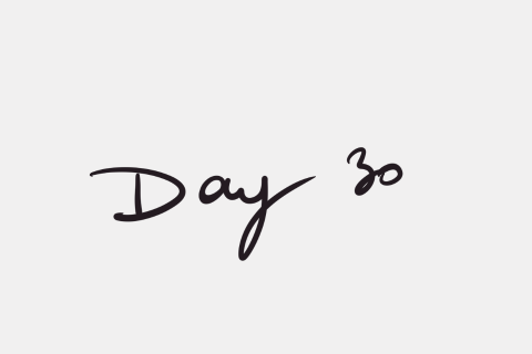 Day 30
