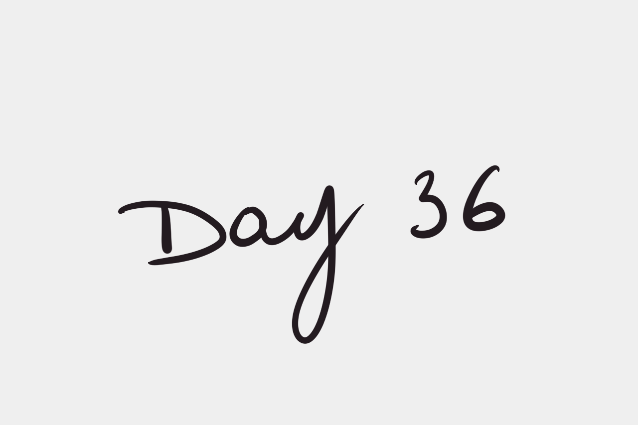 Day 36