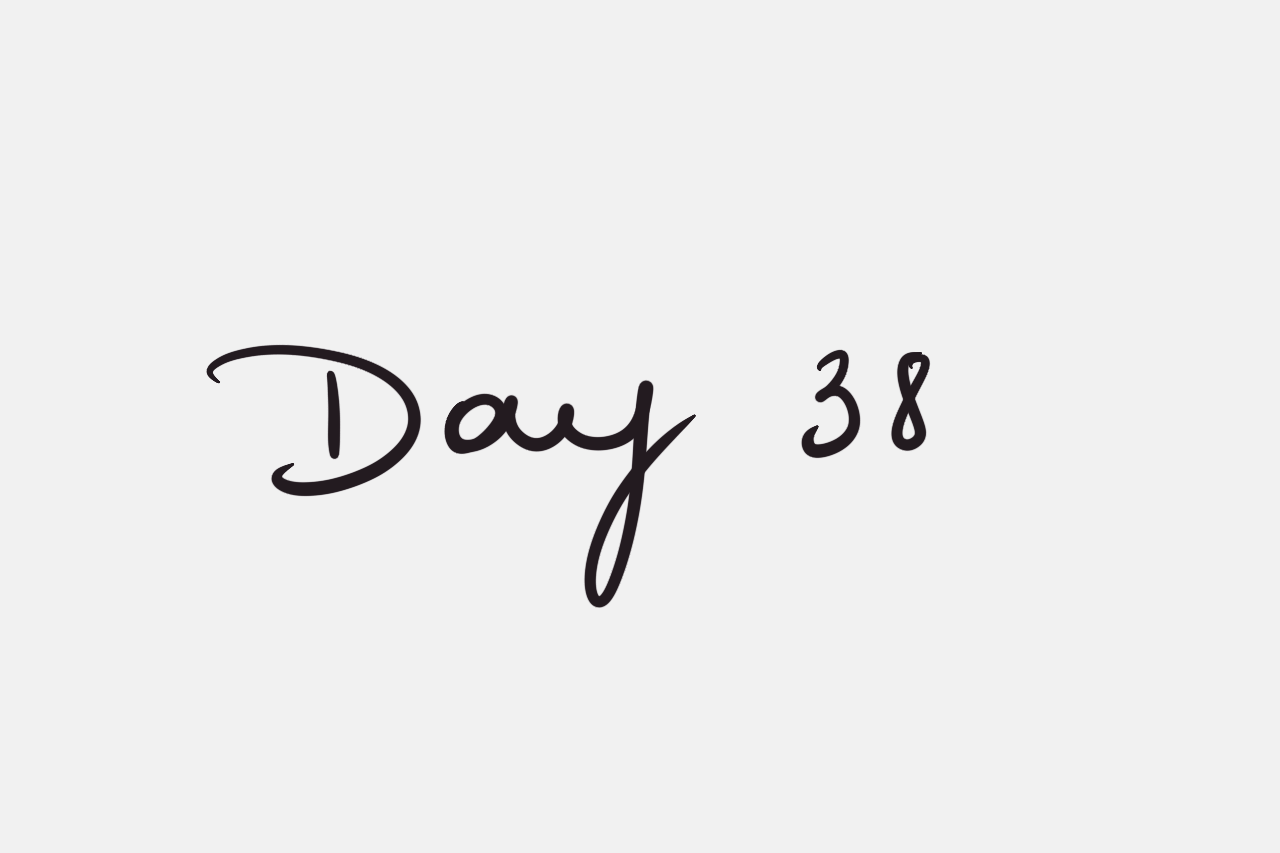 Day 38
