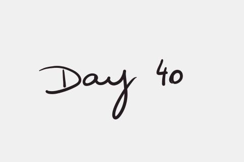 Day 40