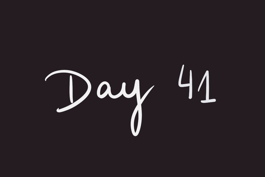 Day 41
