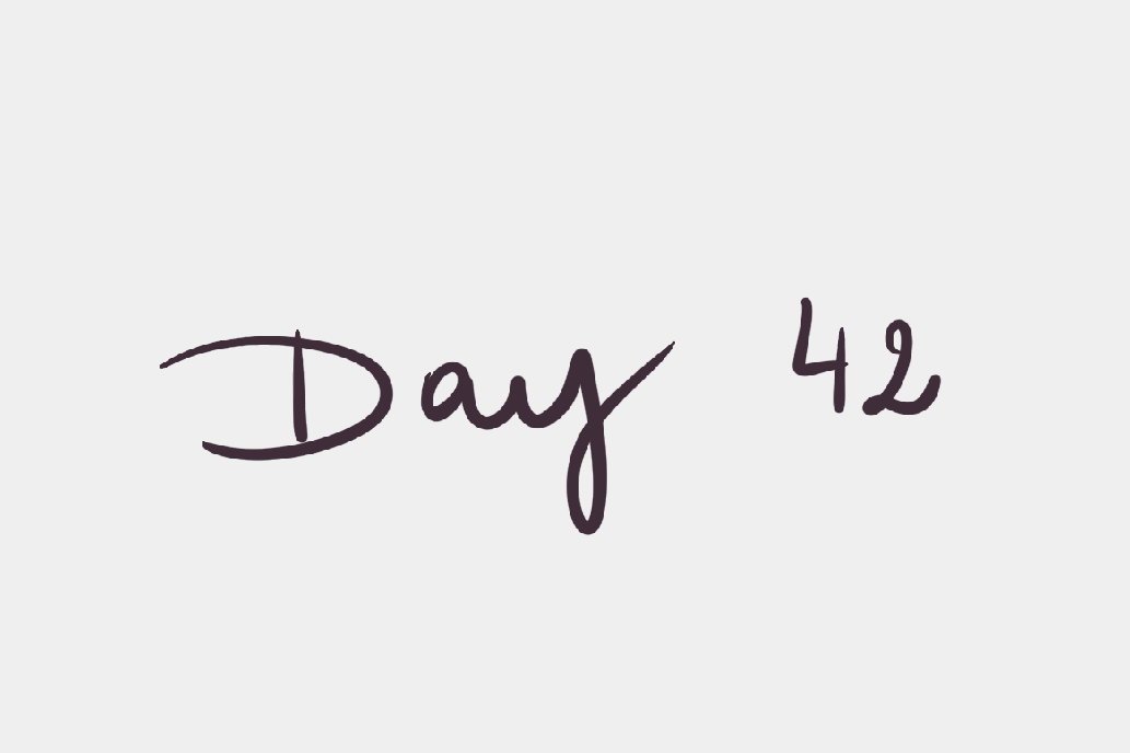 Day 42