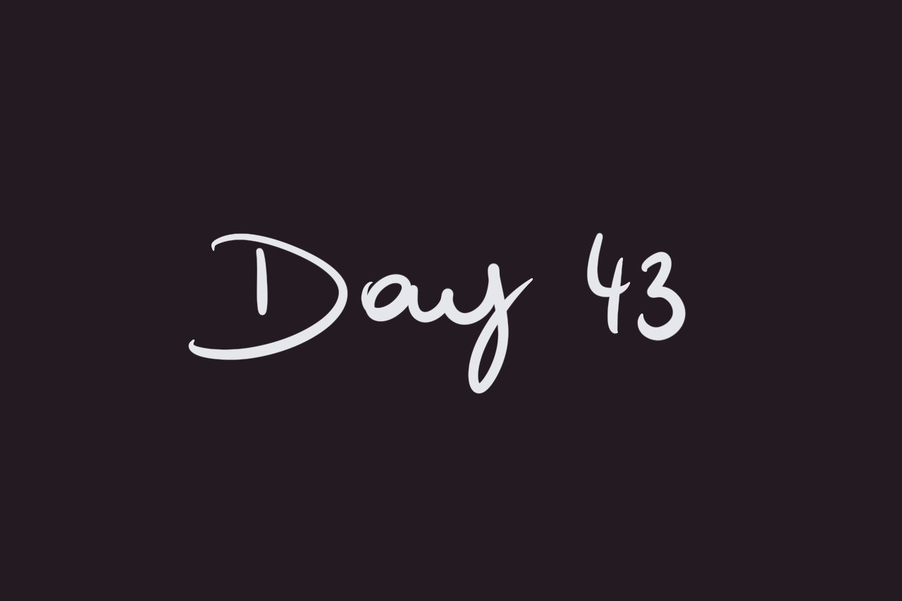 Day 43
