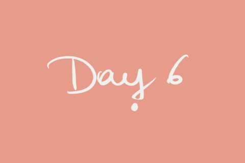 Day 6