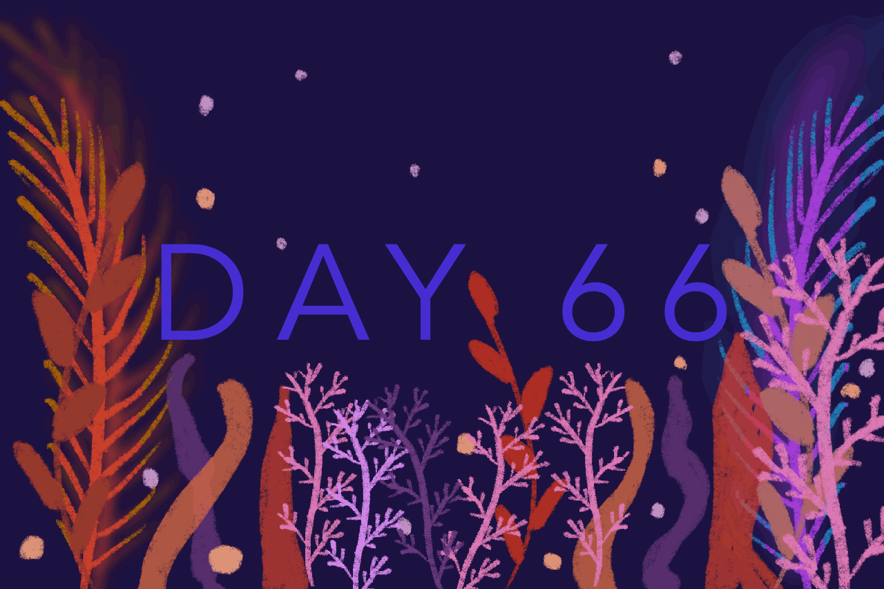 Day 66