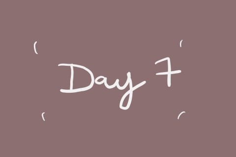 Day 7