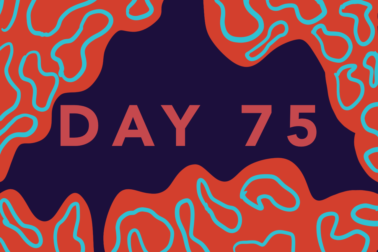 Day 75